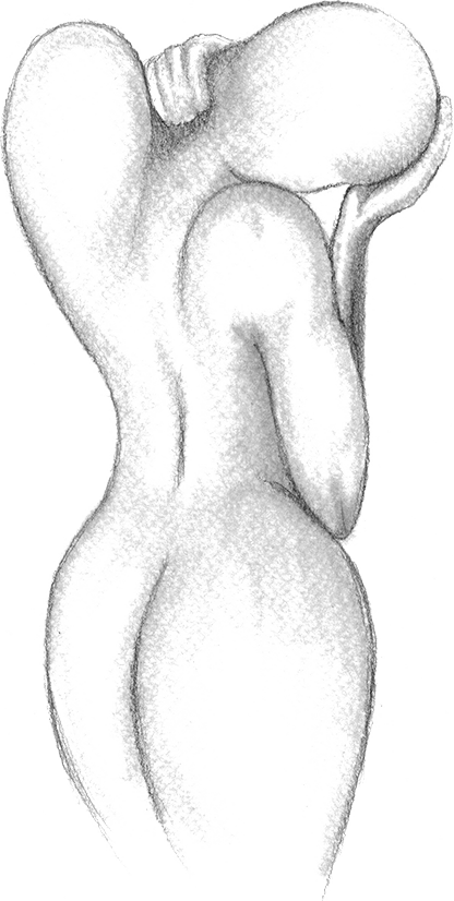 Body Illustration