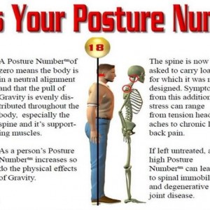 posture number