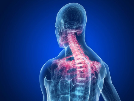 neck pain shoulder blades