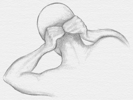 Neck Pain