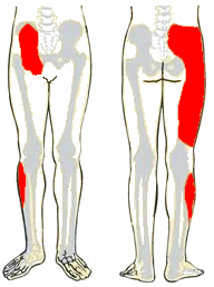 Sacroiliac Joint Dysfunction